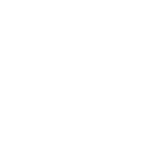 The James Foundation